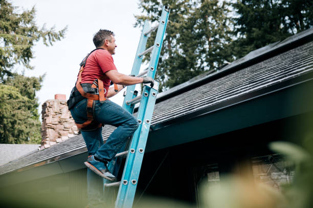 Best Roof Ventilation Installation  in Sprague, WV
